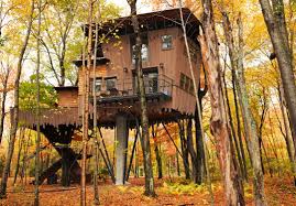 Treehouse Connecticut
